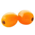 Espino amarillo