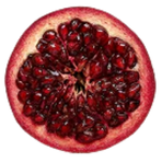 Borraja